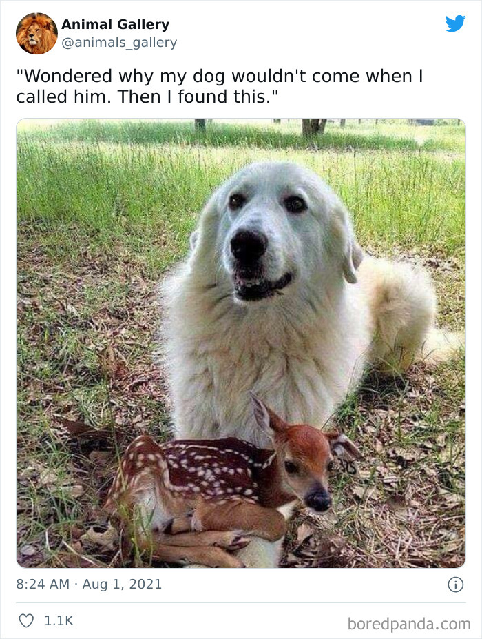50 Of The Most Blessed Images From This Online Community To Boost Your Mood